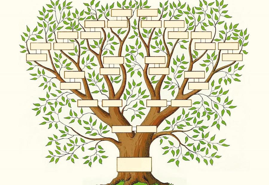 L-arbre-généalogique-ou-les programmes-Atlaneastro