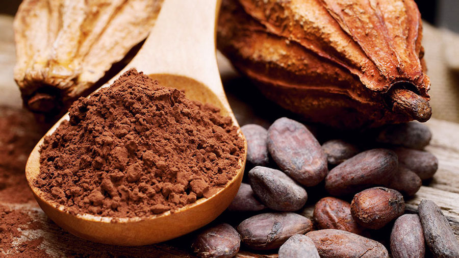 La-cérémonie-du-Cacao-sacré-Part.2-Atlaneastro