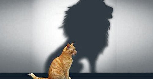 un chat et son ombre gigantesque estime de soi-Atlaneastro