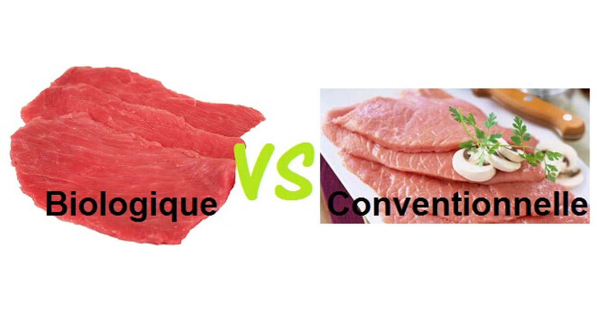 photo viande rouge bio et conventionnelle Part.2 sucre-Atlaneastro