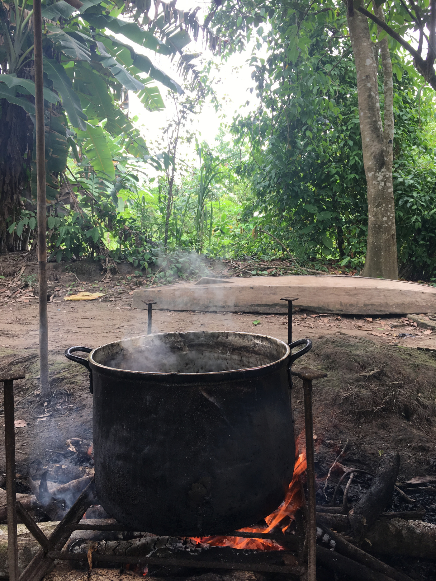 C. Sombrun préparation d'un rituel dans la forêt amazonnienne deuil Part.1-Atlaneastro