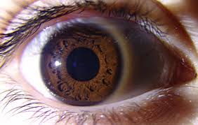 oeil marron foncé yeux Part.2-Atlaneastro