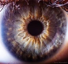 l'iridologie iris vu de très près Part.1-Atlaneastro