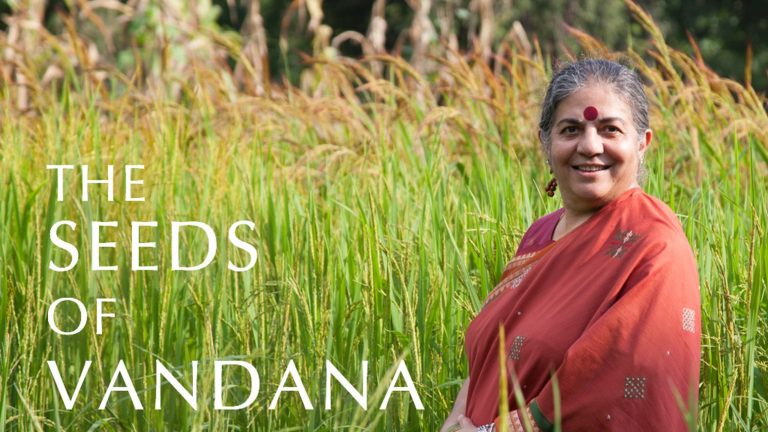 Vandana Shiva dans un champs sari rangé Part.1-Atlaneastro
