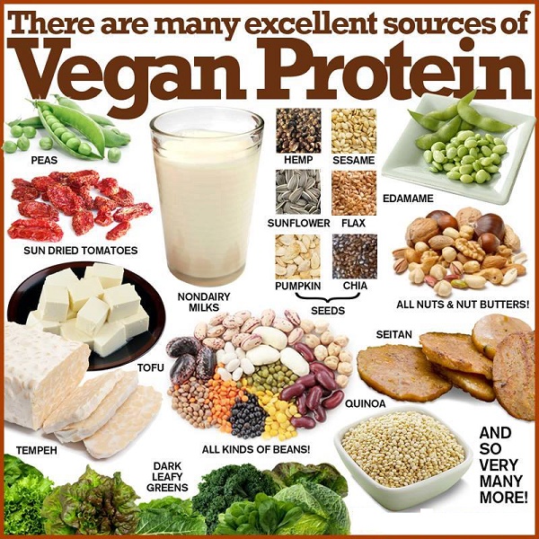 protéines de lait couverture magasine protéine végane Part.3-Atlaneastro