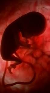 grossesse un foetus Part.2-Atlaneastro