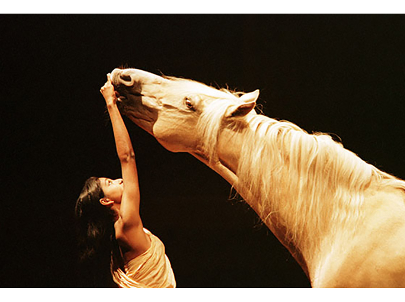 Bartabas danse entre une cavalière et un cheval miel tous les deux Part.2-Atlaneastro