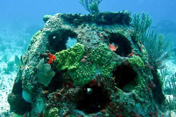 le récif de corail procédé funéraire écologiques Part.1-Atlaneastro