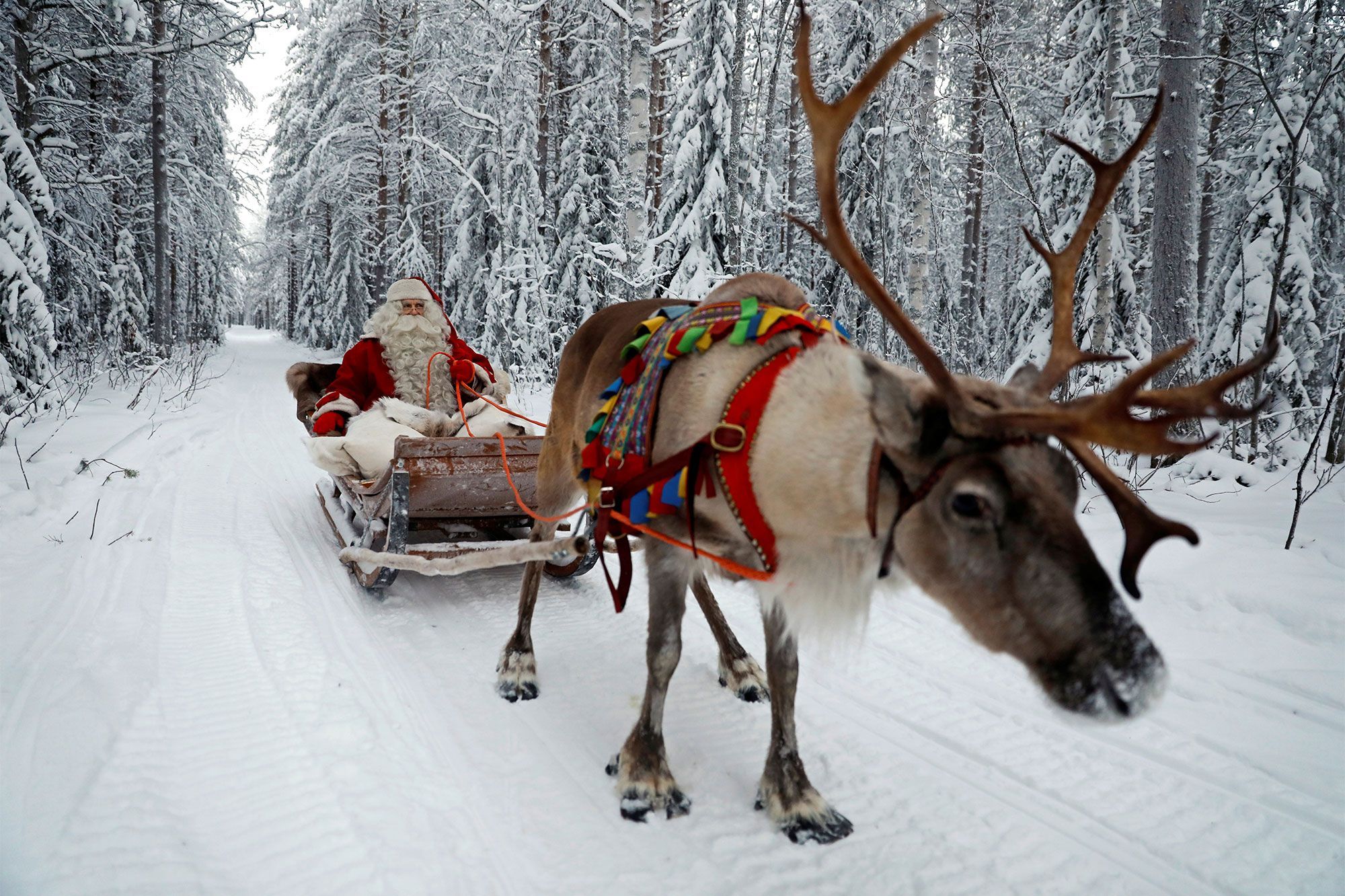 Noël le traineau et le renne su père Noël-Atlaneastro