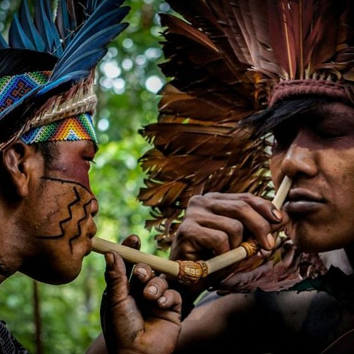 Le Rapé 2 indiens d'Amazonie se font un Rapé Part.&-Atlaneastro