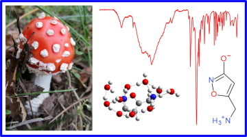 champignon amanite Tu-mouche et sa formule chimique Part.2-Atlaneastro