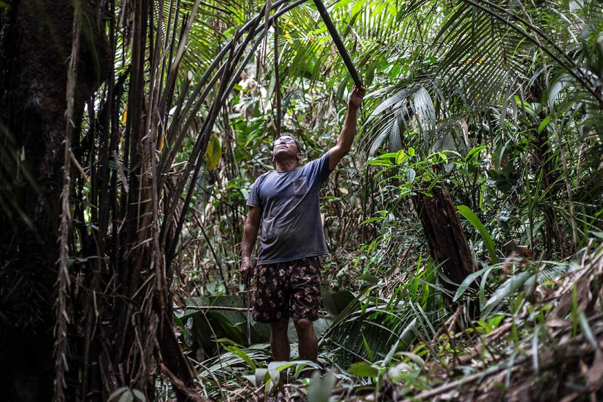 Amazonie un indien dans sa forêt Part.-Atlaneastro